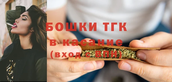 стафф Медногорск