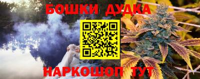 мдпв Новодвинск