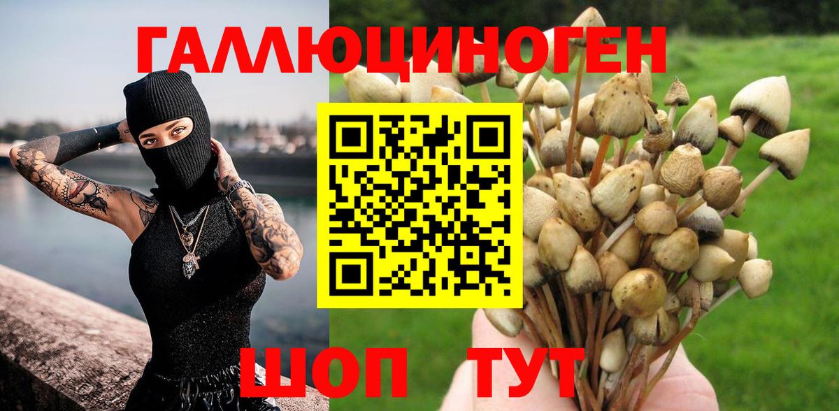 Галлюциногенные грибы мицелий Хабаровск
